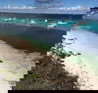 Experience Rottnest with Ferry  Bike Hire from Perth or Fremantle - Pubs Perth