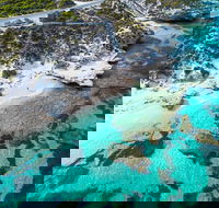 Rottnest Island Round-Trip Ferry from Perth or Fremantle - Pubs Perth