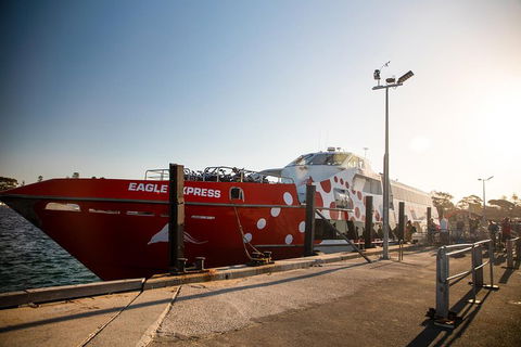 Rottnest Island Round-Trip Ferry From Perth Or Fremantle - Pubs Perth 2