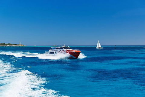 Rottnest Island Round-Trip Ferry From Perth Or Fremantle - Pubs Perth 4
