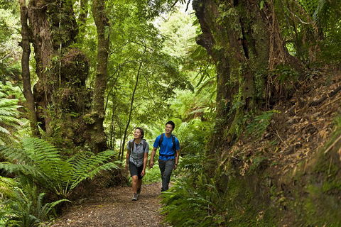 2-Day Great Ocean Road, Mornington Peninsula And Phillip Island Tour - Pubs Perth 5