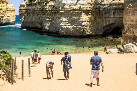 Small-Group Great Ocean Road Classic Day Tour From Melbourne - Pubs Perth 5