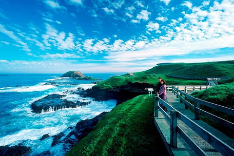 Phillip Island Penguin Parade Express Tour From Melbourne - Pubs Perth 4