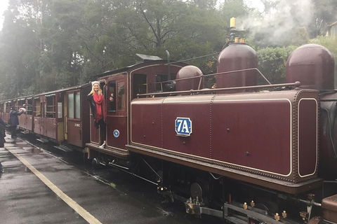 Puffing Billy, Moonlit Sanctuary & Penguins Day Tour - Pubs Perth 4