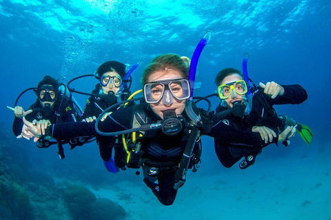 Great Barrier Reef Diving And Snorkeling Cruise From Cairns - Pubs Perth 0