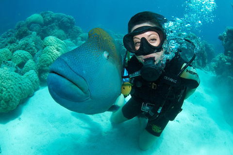 Great Barrier Reef Diving And Snorkeling Cruise From Cairns - Pubs Perth 2