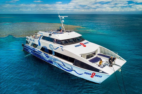 Great Barrier Reef Diving And Snorkeling Cruise From Cairns - Pubs Perth 5