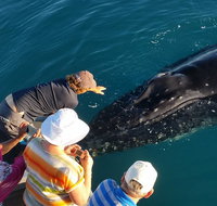 AOC Whale Watching from Broome - Pubs Perth