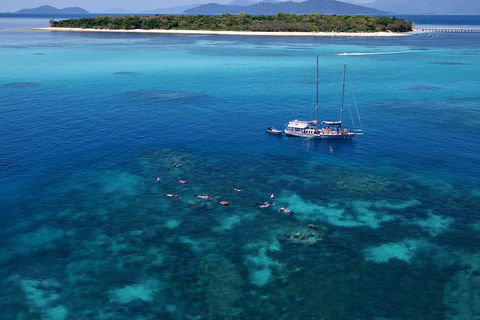 Ocean Free Green Island & Great Barrier Reef Snorkel Cruise, Cairns 25 Guests - Pubs Perth 2