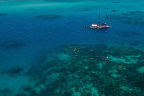 Ocean Free Green Island & Great Barrier Reef Snorkel Cruise, Cairns 25 Guests - Pubs Perth 5