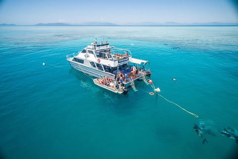Ocean Freedom Great Barrier Reef Personal Luxury Snorkel & Dive Cruise, Cairns - Pubs Perth 0