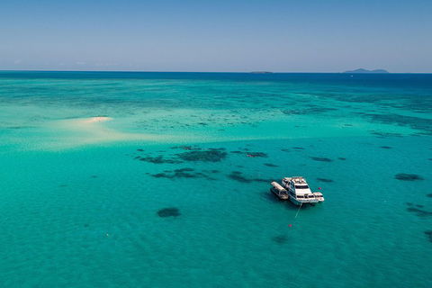 Ocean Freedom Great Barrier Reef Personal Luxury Snorkel & Dive Cruise, Cairns - Pubs Perth 2