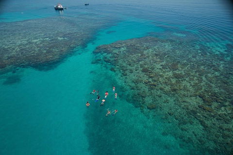 Ocean Freedom Great Barrier Reef Personal Luxury Snorkel & Dive Cruise, Cairns - Pubs Perth 3