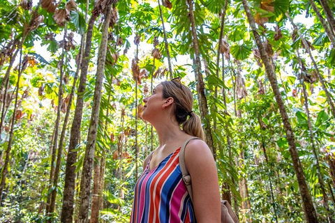 5 Day Australia Retreat: Queensland Daintree - Pubs Perth 0