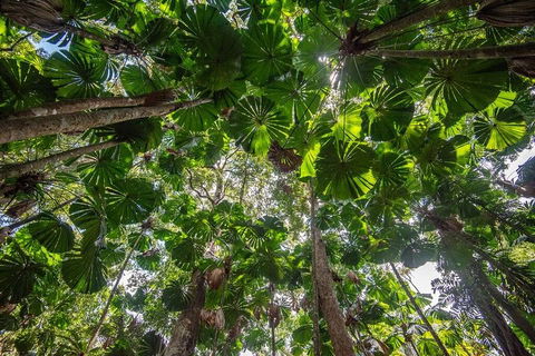 5 Day Australia Retreat: Queensland Daintree - Pubs Perth 2