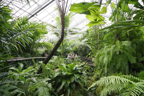 Australian Butterfly Sanctuary - Pubs Perth 3