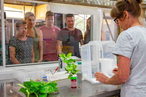 Australian Butterfly Sanctuary - Pubs Perth 5
