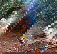 Kuranda Highlights including Rainforestation Aboriginal Culture and Wildlife - Pubs Perth