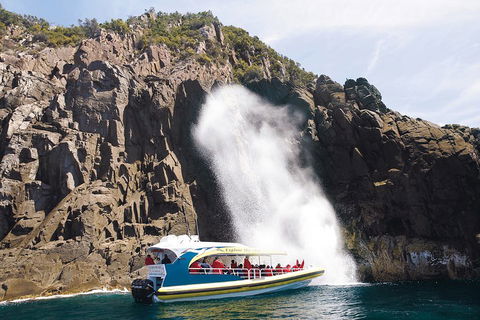 3-Hour Bruny Island Cruise From Adventure Bay, Bruny Island - Pubs Perth 5