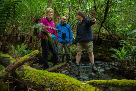 Bruny Island Traveller - Gourmet Tasting And Sightseeing Day Trip From Hobart - Pubs Perth 1
