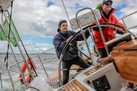 Half-Day Sailing On The Derwent River From Hobart - Pubs Perth 3