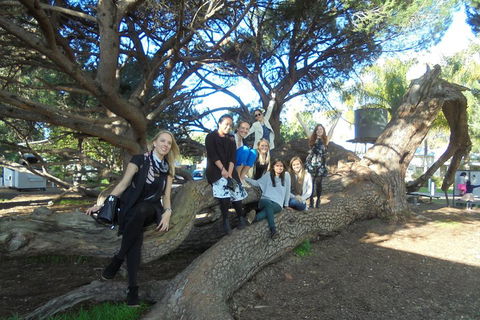 1/2 Day Swan Valley Wine Cheese & Chocolate Tour Inc Afternoon Cruise To Perth - Pubs Perth 0