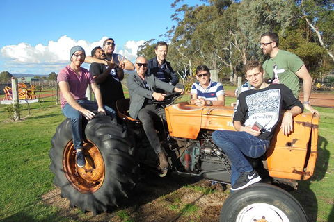 1/2 Day Swan Valley Wine Cheese & Chocolate Tour Inc Afternoon Cruise To Perth - Pubs Perth 1
