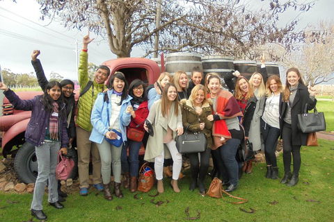 1/2 Day Swan Valley Wine Cheese & Chocolate Tour Inc Afternoon Cruise To Perth - Pubs Perth 5