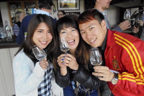 Wine Tasting Day Trip And Swan Valley River Cruise To Perth - Pubs Perth 3