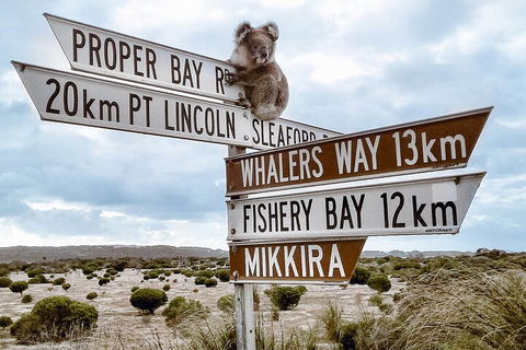 One Day Port Lincoln Tour - Tasting Eyre - Pubs Perth 2