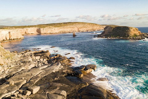 One Day Port Lincoln Tour - Tasting Eyre - Pubs Perth 3