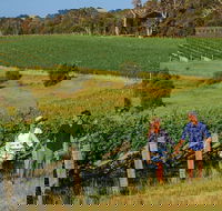 10 Day Perth to Adelaide Private Tour - The Great Australian Wilderness Journey - Pubs Perth