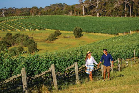 10 Day Perth To Adelaide Private Tour - The Great Australian Wilderness Journey - Pubs Perth 0