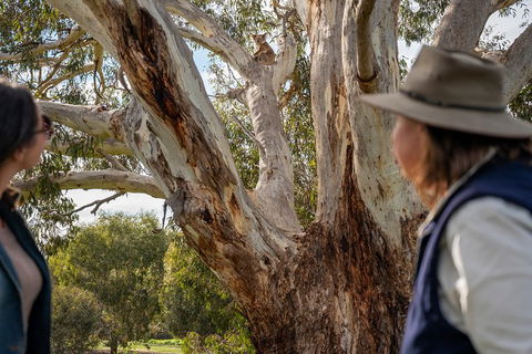NEW TOUR - Kangaroo Island Road To Recovery Tour (1 Day/1 Night) - Pubs Perth 0