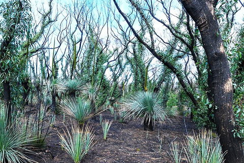 NEW TOUR - Kangaroo Island Road To Recovery Tour (1 Day/1 Night) - Pubs Perth 3