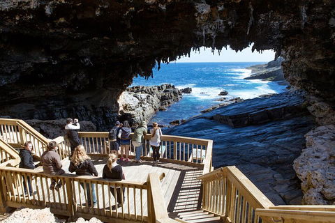 Full Day Flinders Chase Tour From Kangaroo Island - Pubs Perth 1