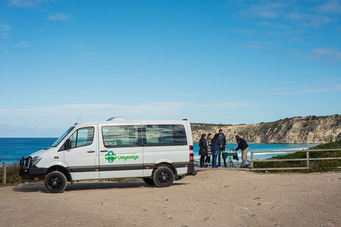 Full Day Flinders Chase Tour From Kangaroo Island - Pubs Perth 3