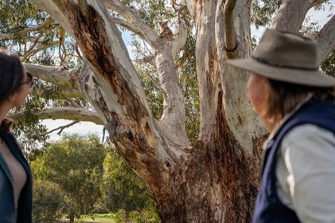 Full Day Flinders Chase Tour From Kangaroo Island - Pubs Perth 5