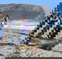 Full day Seal Bay Experience departing from Kangaroo Island - Pubs Perth
