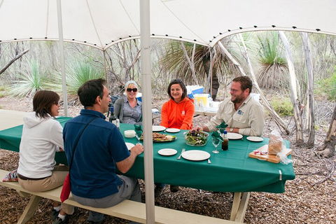 Full Day Seal Bay Experience Departing From Kangaroo Island - Pubs Perth 1