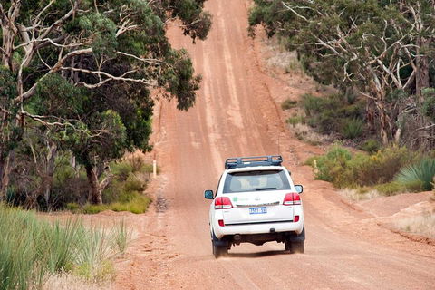 Full Day Seal Bay Experience Departing From Kangaroo Island - Pubs Perth 2