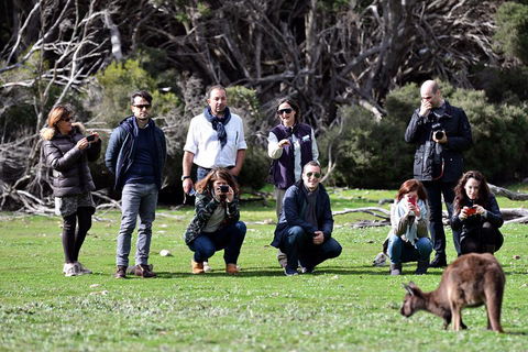 Small-Group Kangaroo Island 4WD Tour From Adelaide - Pubs Perth 2