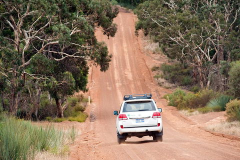 Small-Group Kangaroo Island 4WD Tour From Adelaide - Pubs Perth 3