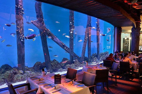 Cairns Aquarium And Small Group City Sightseeing Tour - Pubs Perth 4