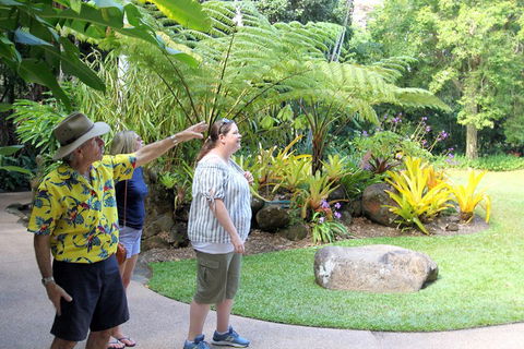 Cairns Shore Excursion: Cairns City Sights & Surrounds Tour - Pubs Perth 4