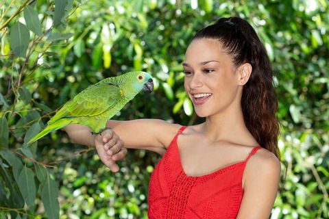 Kuranda Wildlife Experience Three Attraction Pass - Pubs Perth 1