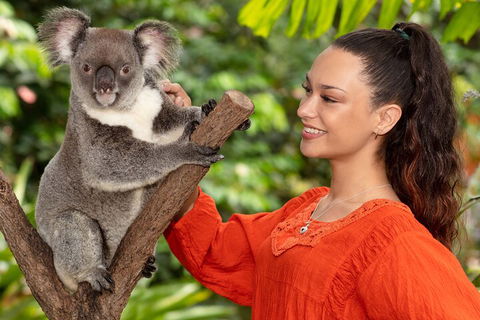 Kuranda Wildlife Experience Three Attraction Pass - Pubs Perth 4