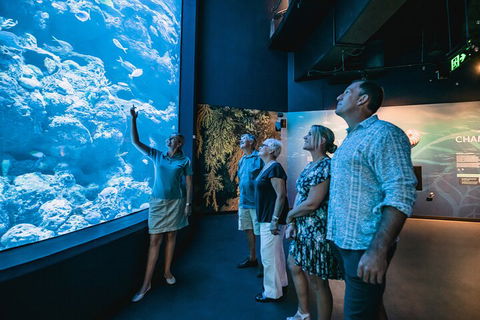 Cairns Aquarium By Twilight With 3-Course Dinner - Pubs Perth 1