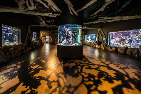 Cairns Aquarium By Twilight With 3-Course Dinner - Pubs Perth 3