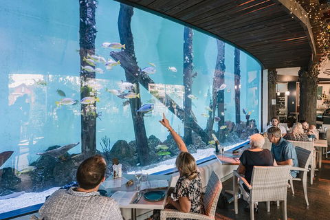 Cairns Aquarium By Twilight With 3-Course Dinner - Pubs Perth 4